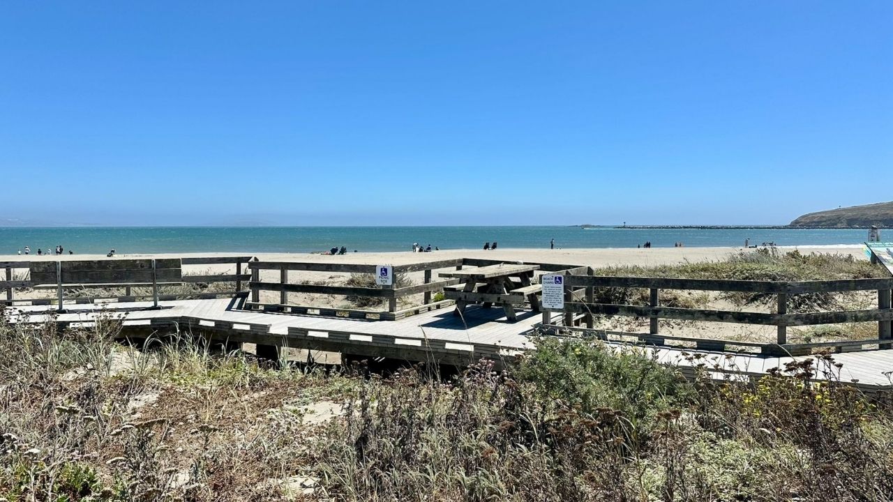 ADA-accessible Boardwalk at Dorian Regional Park