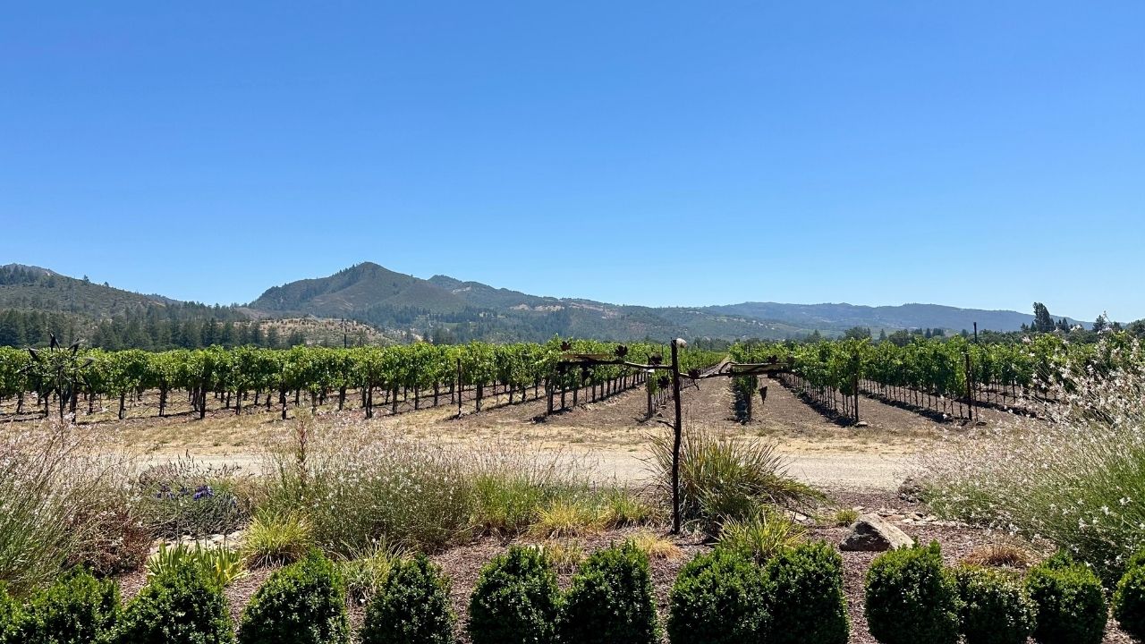 St. Francis Winery Vineyard