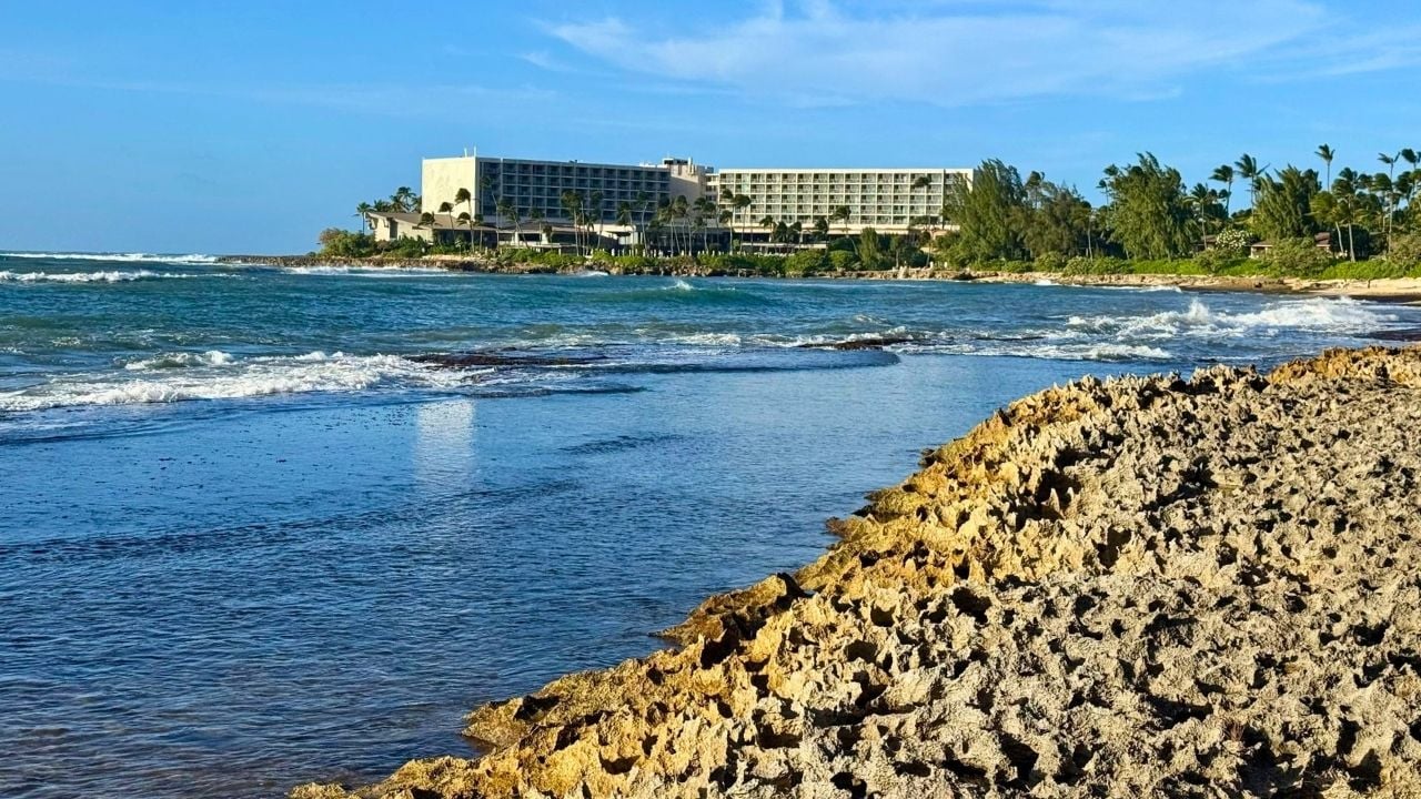 Explore the tide pools along Turtle Bay
