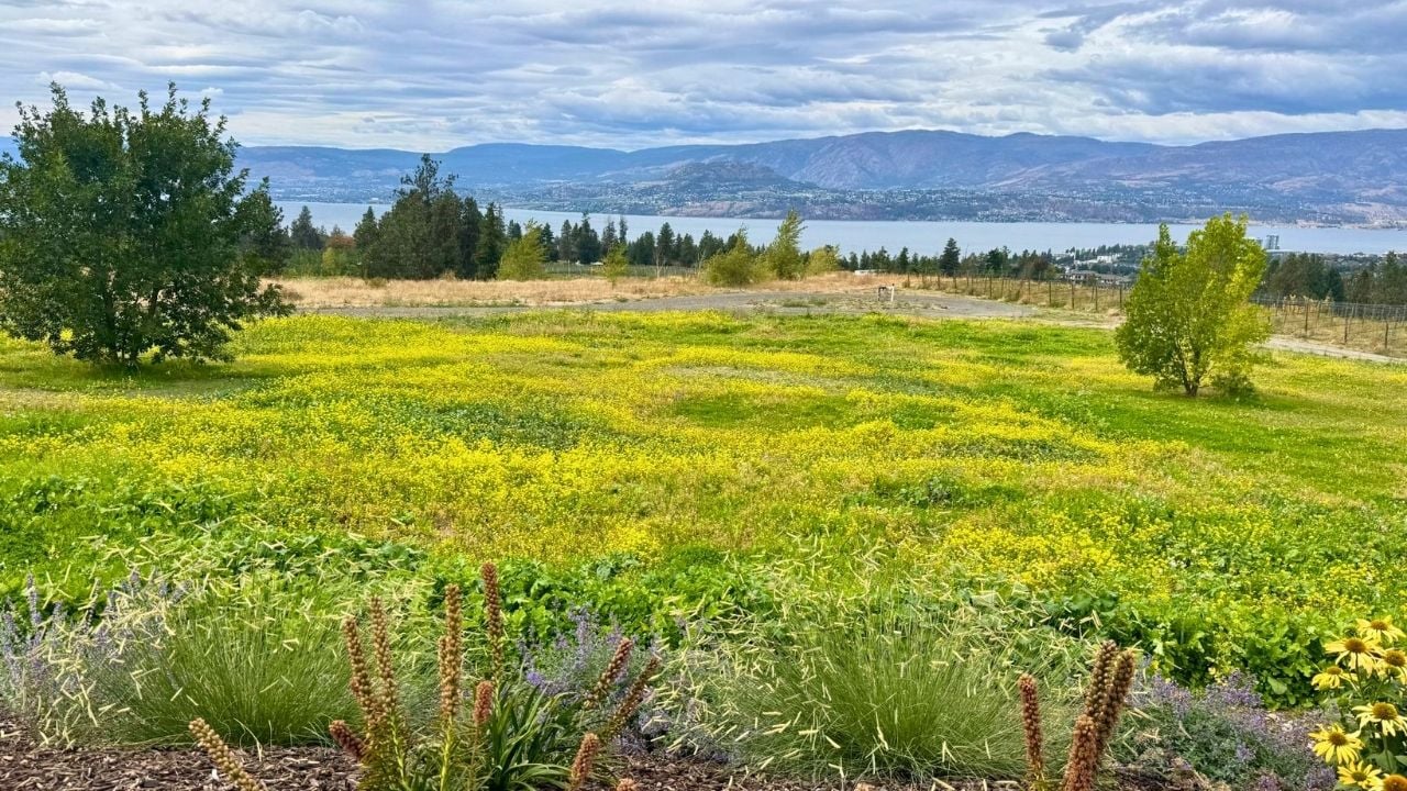 View from Ailm Estate