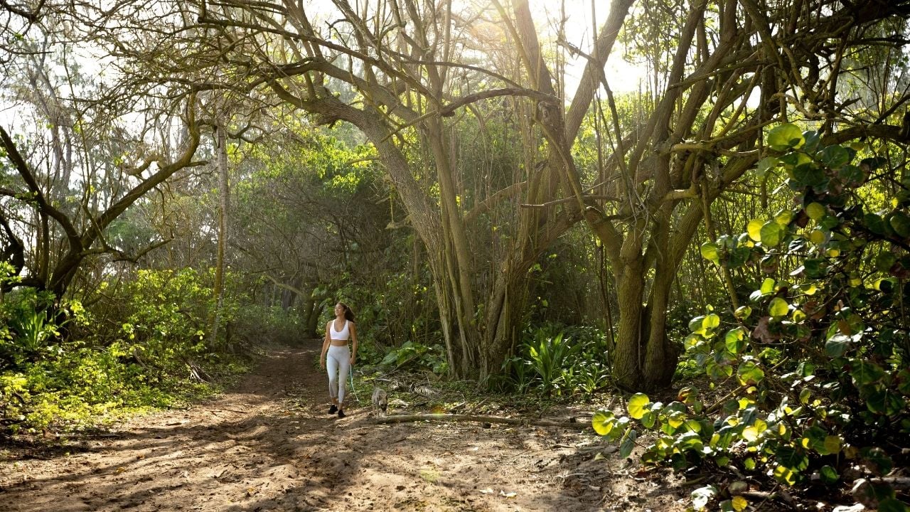 Walking Trails